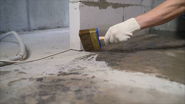 24/7 Emergency Crawl Space Encapsulation experts in Fremont, NC